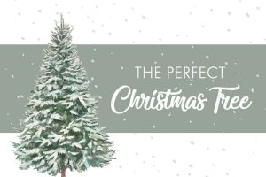 درخت کریسمس پنهان : سفری به اعماق زمین برای یافتن روح پیپ و جادوی برایر