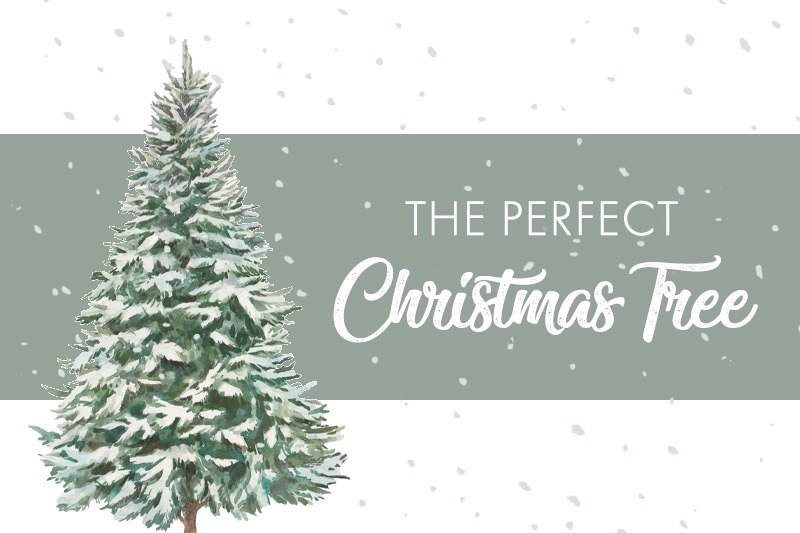 درخت کریسمس پنهان : سفری به اعماق زمین برای یافتن روح پیپ و جادوی برایر